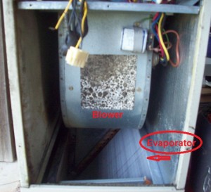 Carrier Air Handler and Evaporator Coil